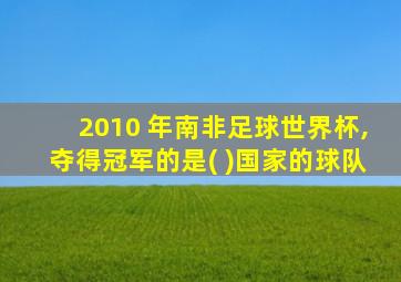 2010 年南非足球世界杯,夺得冠军的是( )国家的球队